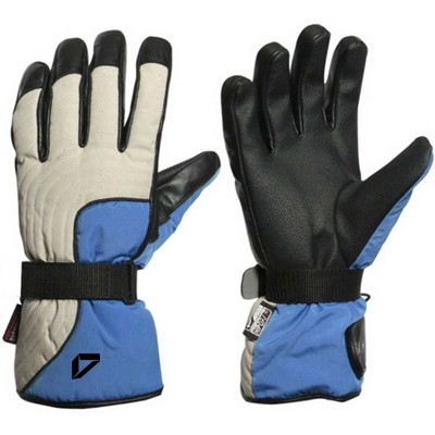 Ski Gloves